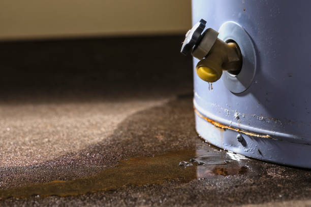 Best Water damage repair service  in Fox Crossing, WI