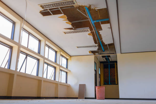 Best Water damage repair service  in Fox Crossing, WI
