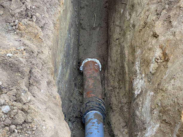 Best Flood restoration services  in Fox Crossing, WI