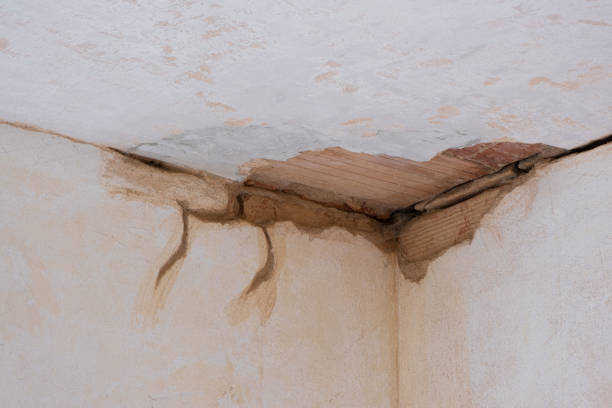Best Water damage restoration near me  in Fox Crossing, WI