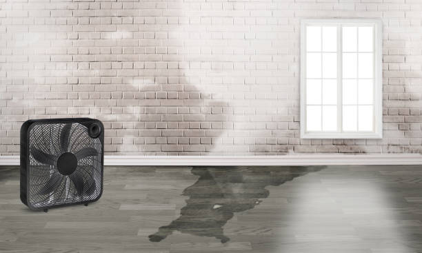  Fox Crossing, WI Water damage restoration Pros