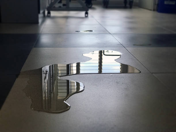 Reliable WI Water damage restoration Solutions