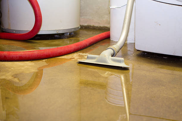 Best Water damage restoration services  in Fox Crossing, WI