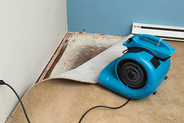 Best Water damage restoration near me  in Fox Crossing, WI